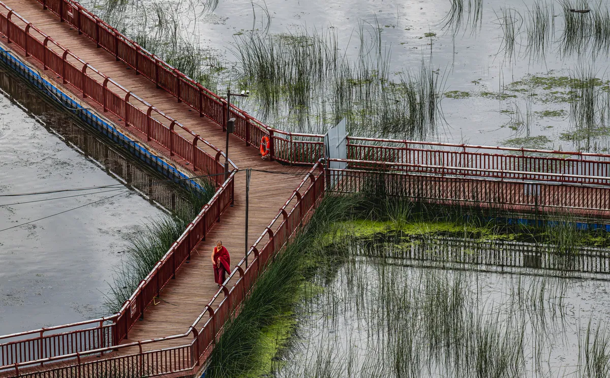 A branching boardwalk over wetlands with several red-robed figures walking along it.