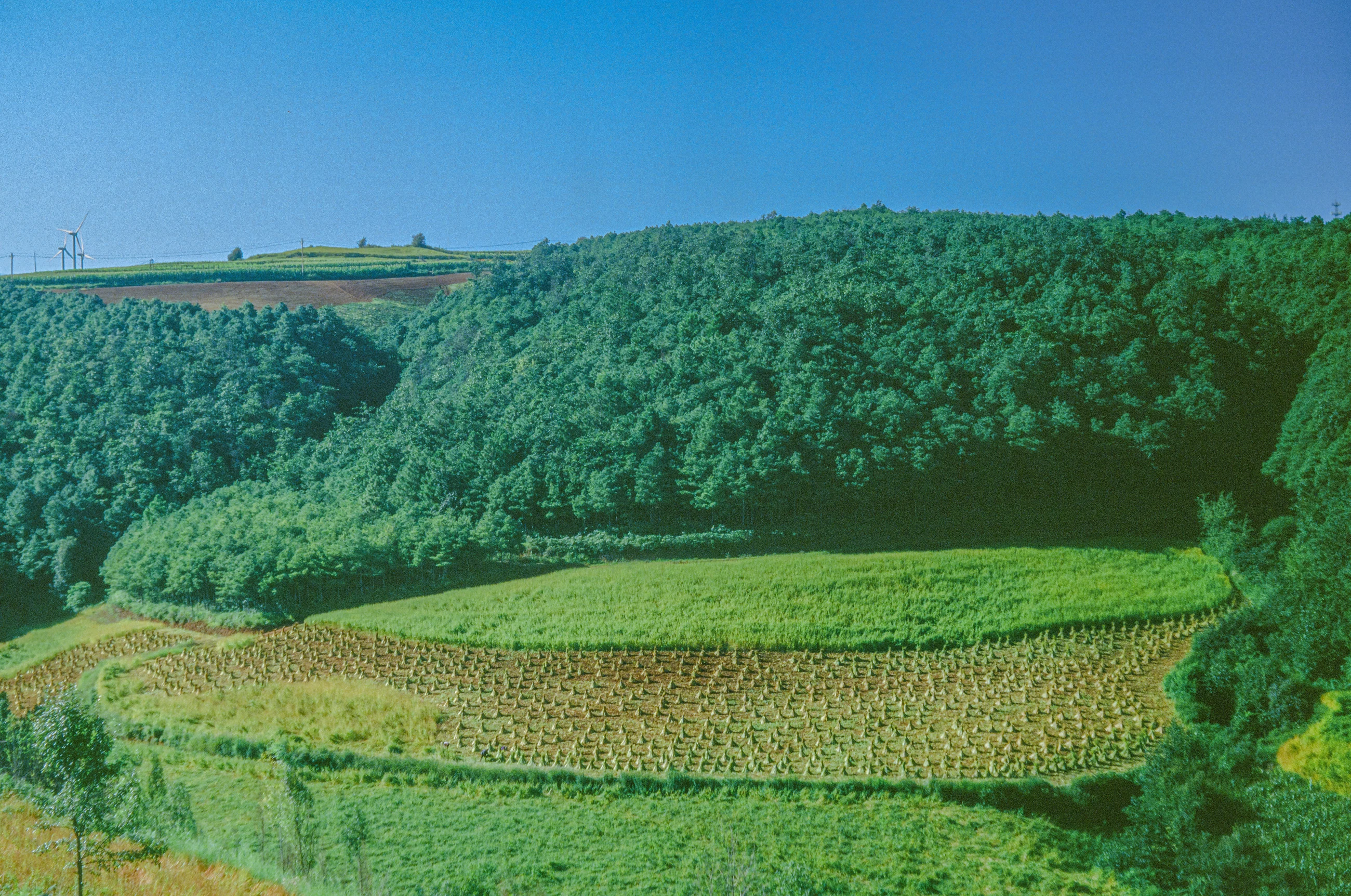 A Dongchuan landscape with visible film grain and color character, photographed by Liao Chenyan.